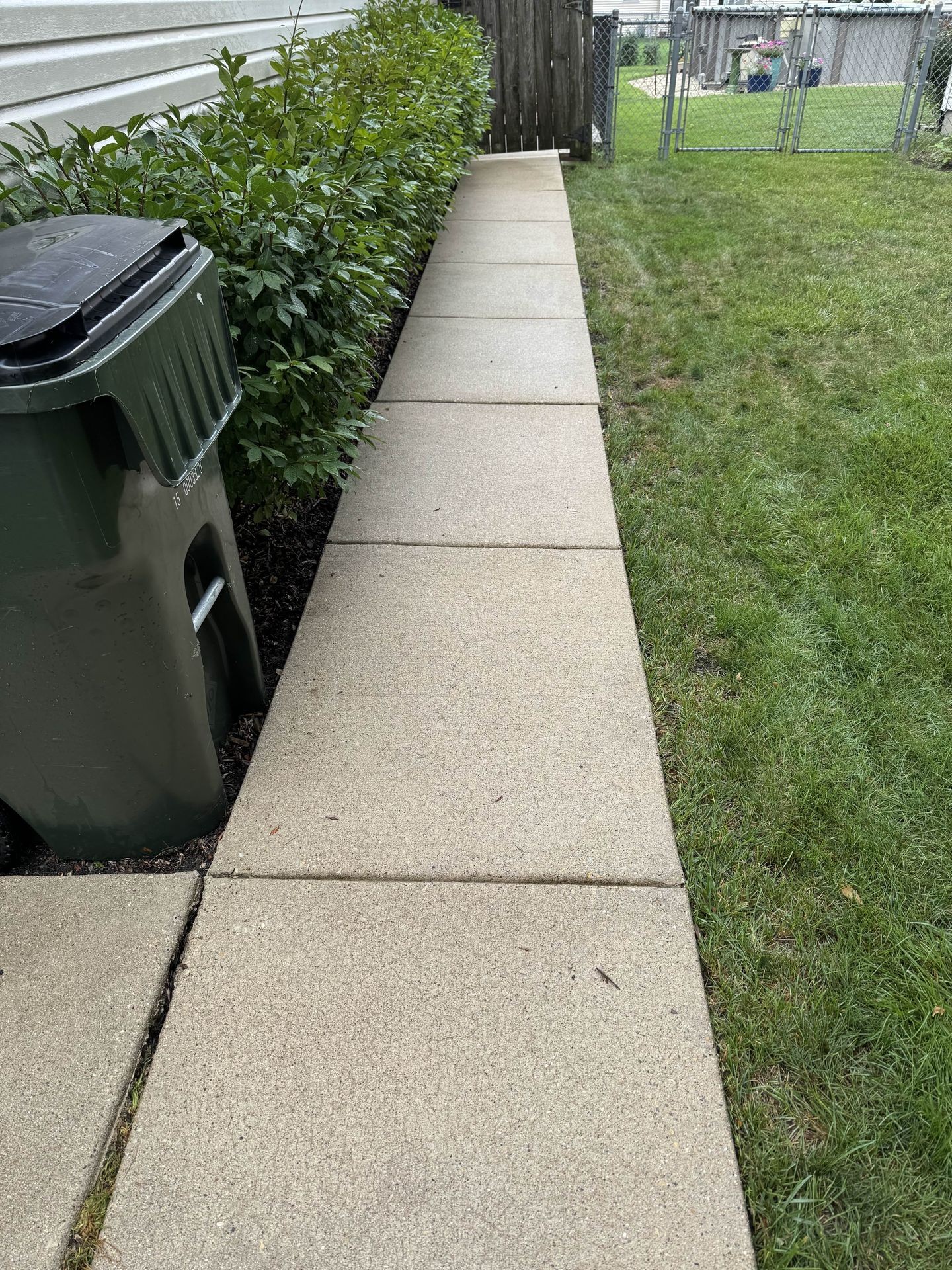 Sidewalk and Walkway Enhancement